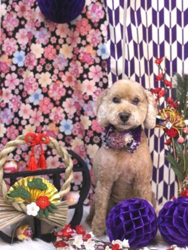 20250122アルトくん